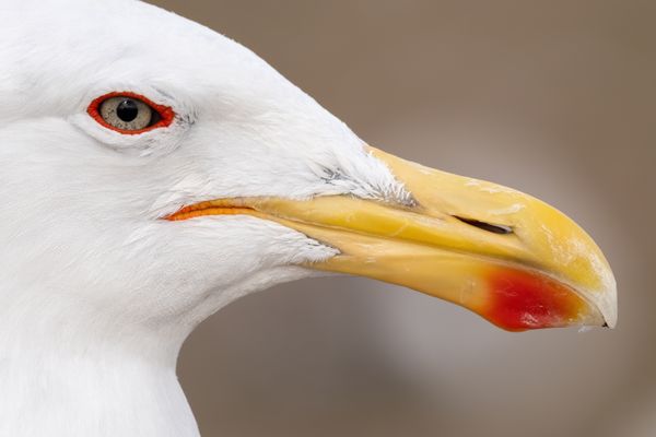 Foto in voller Größe